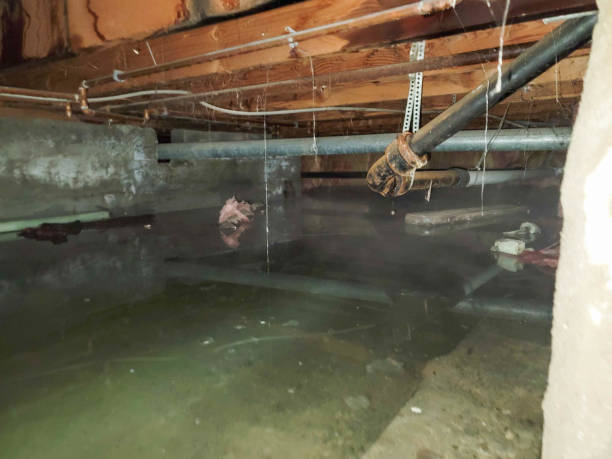 Best Emergency water extraction  in John Day, OR