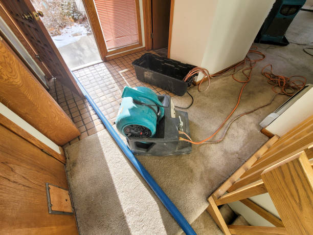 Best Emergency water damage restoration  in John Day, OR