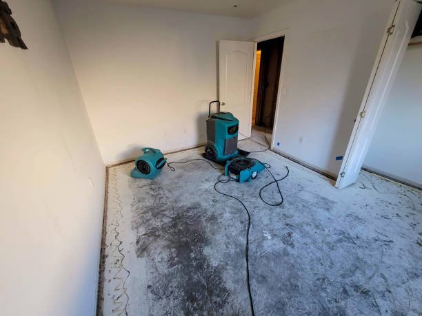Best Ceiling water damage repair  in John Day, OR