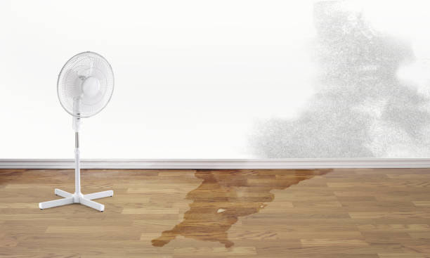  John Day, OR Water damage restoration Pros