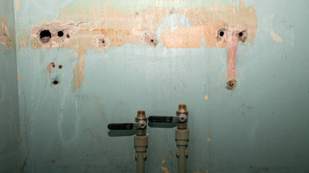 Best Professional water damage repair  in John Day, OR
